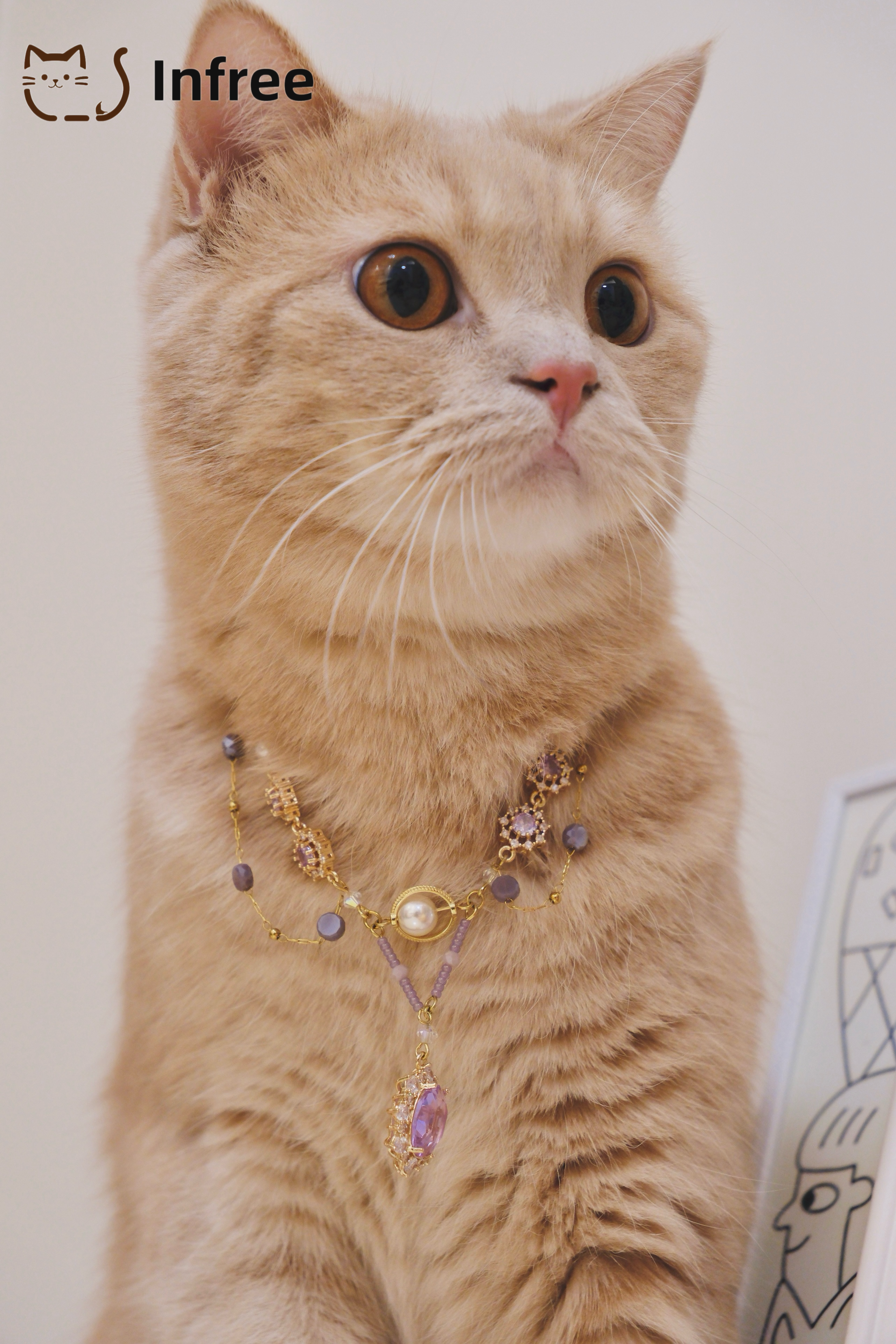 《Mystic Orient》 Pet necklaces