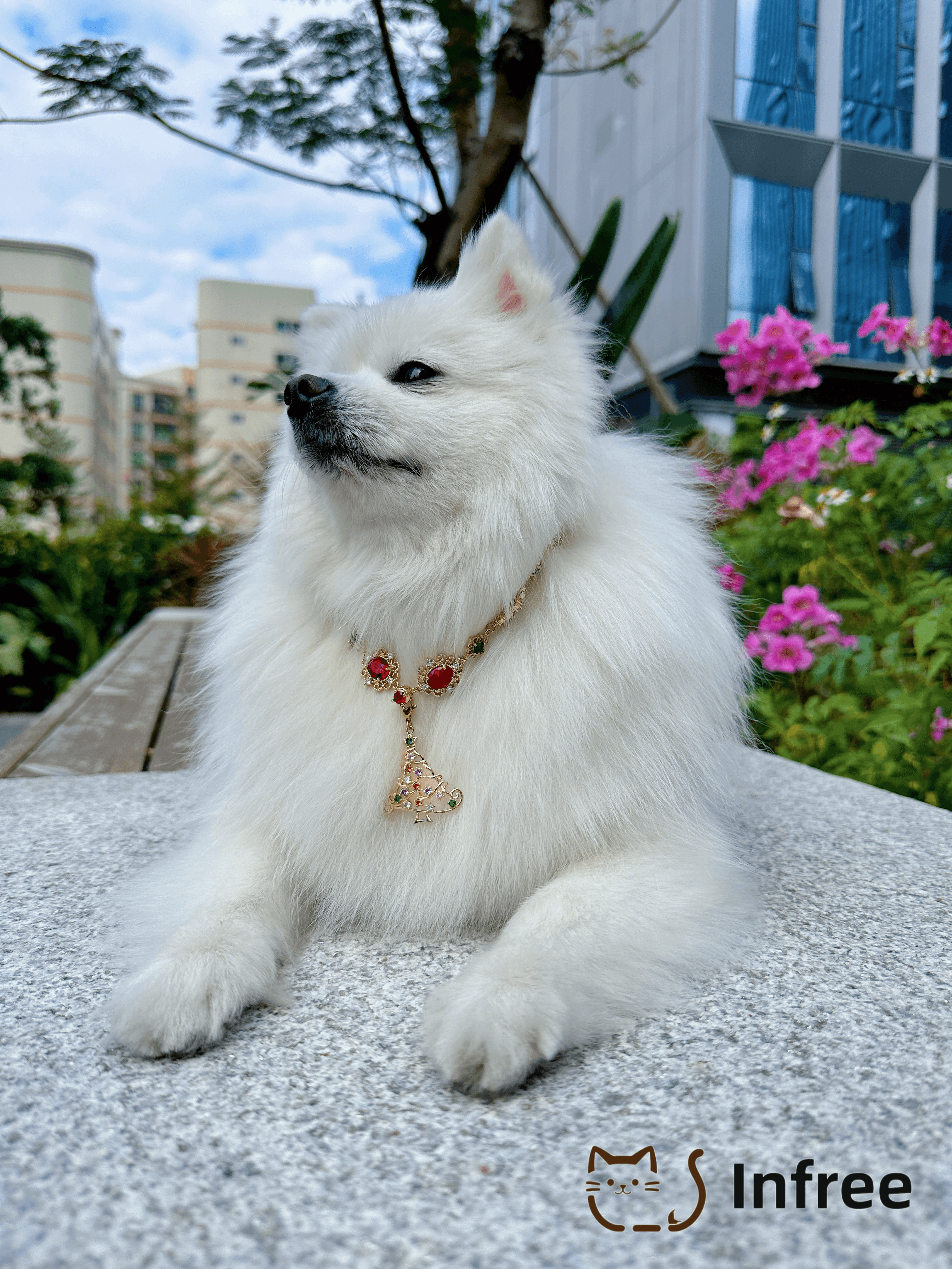 《Christmas and New Year wishes》pet necklace