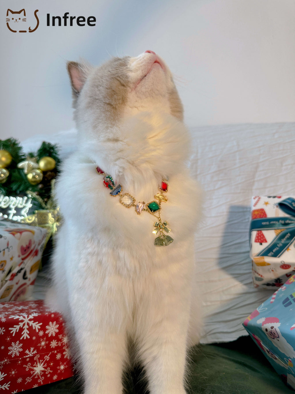 《Rainbow Bells》 Pet necklace