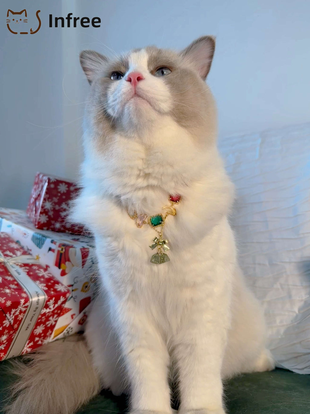 《Rainbow Bells》 Pet necklace