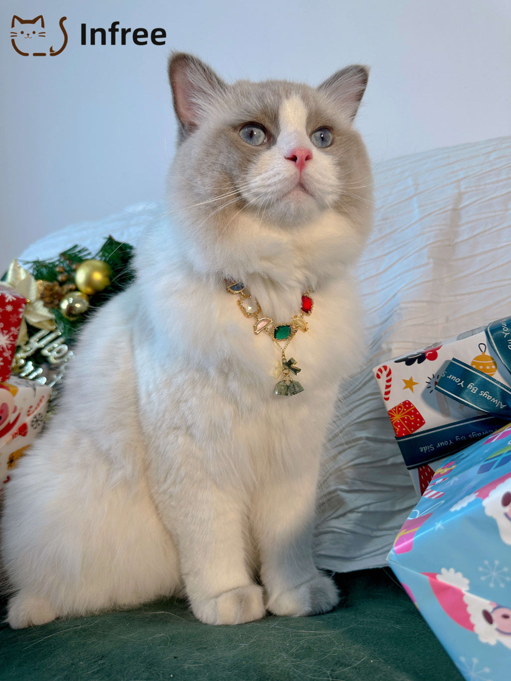 《Rainbow Bells》 Pet necklace