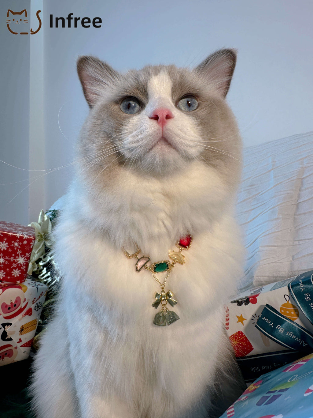 《Rainbow Bells》 Pet necklace