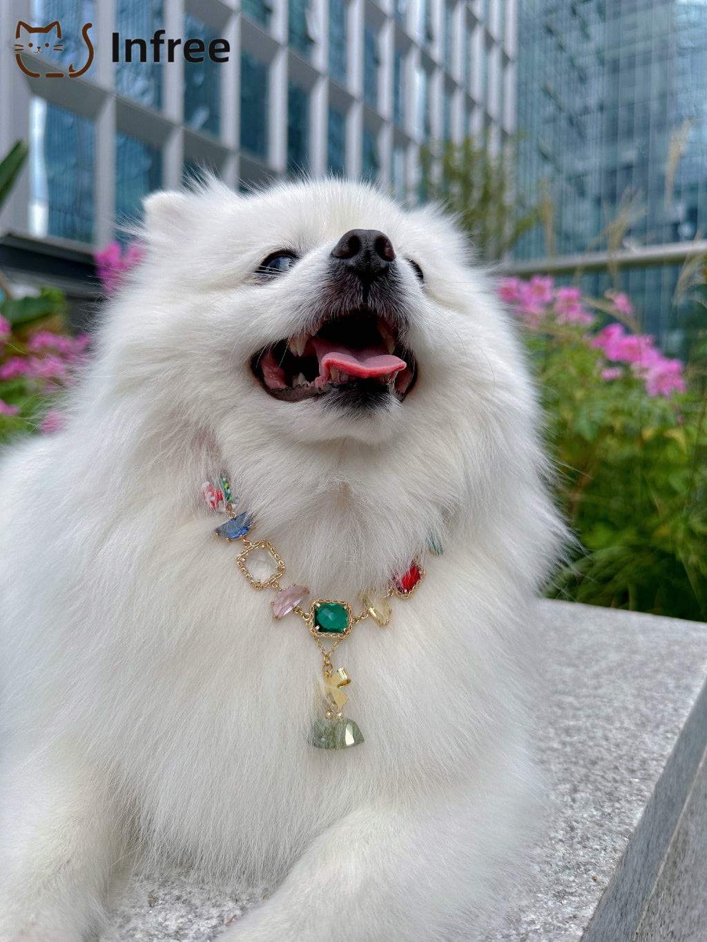 《Rainbow Bells》 Pet necklace