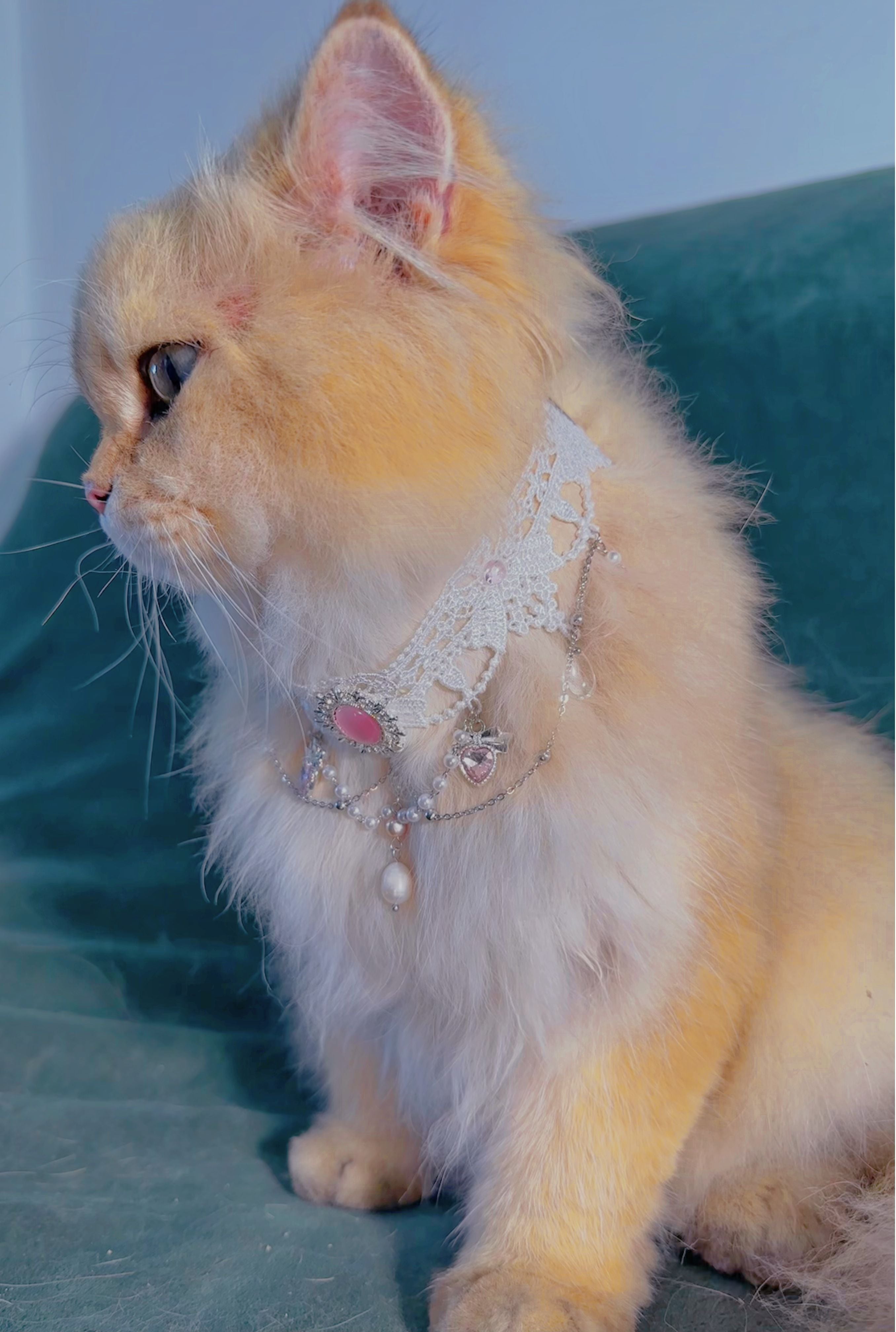 《Love in Paris》 Pet necklaces